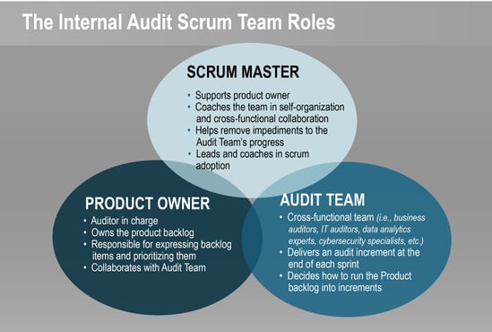 CrossCountryConsulting_AgileAudit_Roles (002)