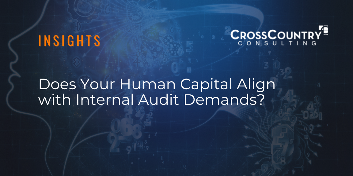 internal audit human capital